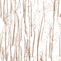 rice grass | 3form